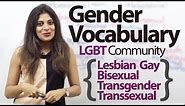 Gender Vocabulary (Talking about the LGBT community) – Free Spoken English Lesson