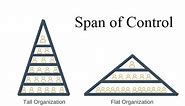 Span of Control | Organising