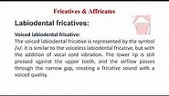Ch 6 Fricatives and Affricates