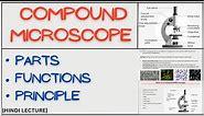 Compound Microscope Parts and Function [Principle of Compound Microscope] MICRO INSIGHTS