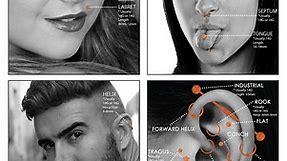 Body Piercing Charts | Ears, Jewelry Sizes, Gauge Info