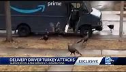 Turkey takeover of Wauwatosa no laughing matter for delivery drivers