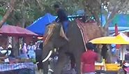 Dramatic moment teenager clings to rampaging elephant's tusk