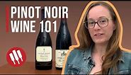 Pinot Noir (Everything you need to know) | Grapes 101