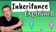 Inheritance Explained || How do we inherit features from our parents?