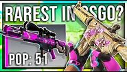WHICH IS THE RAREST SKIN IN CS:GO? (ONLY 51 EXIST)