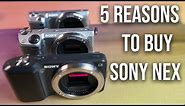 5 Reasons Why You Should Buy a Sony NEX Mirrorless Camera in 2020