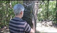 How to Hang Your Backpack on a Tree