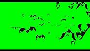 Green screen flying bats
