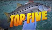 TOP 5 BEST PLACES TO CATCH SNOOK NEAR JUPITER