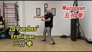 Five Ancestors Fist: 20 Punches (Wǔzǔquán, Èrshíquán - 五祖拳, 二十拳)