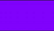 Purple screen, full screen (1 hour)