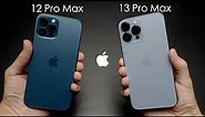 iPhone 13 Pro Max vs iPhone 12 Pro Max Camera comparison