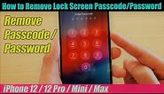 iPhone 12/12 Pro: How to Remove Lock Screen Passcode / Password (Ufixer Solution) 2024 #icloudlock