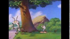 Tiny Toon Adventures - Anvil Dropping 101