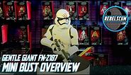 Star Wars Gentle Giant FN 2187 Mini Bust Review