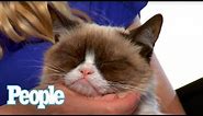 Can Grumpy Cat Smile? I PEOPLE Pets | People