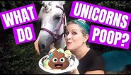 What DO Unicorns Poop? | Unicorn FAQ