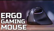 ERGONOMIC GAMING MOUSE?? Should you be using this? - TechteamGB