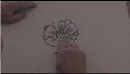 Drawing From Nature : How to Draw a Hawaiian Flower