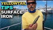 How to Catch Yellowtail | Surface Iron SoCal Style