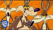 Looney Tunes | Wile E Coyote Genius Extraordinaire | 30 Minutes