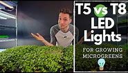BEST CHEAP LED Lights for Growing Microgreens!?! Barrina T5's vs T8's