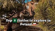 Explore Poland’s Top 5 Castles with Us! 🇵🇱 Calling all castle enthusiasts! Embark on a majestic journey through Poland’s rich history and heritage as we unveil the top 5 castles awaiting your discovery. 🏰✈️ 1️⃣ Wawel Royal Castle, Krakow: The realm of kings and queens, where centuries of Polish history come to life within its fortified walls. Marvel at its Gothic, Renaissance, and Baroque architecture, and don’t miss the legendary Dragon’s Den below! 🐉👑 2️⃣ Malbork Castle, Malbork: The worl