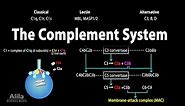 The Complement System, Animation
