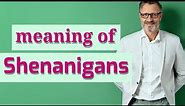 Shenanigans | Definition of shenanigans