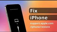 Top 3 Ways to Fix support.apple.com/iphone/restore iPhone [2024]