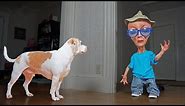 Dog vs Alien in Disguise Prank: Funny Dogs Maymo, Penny & Potpie