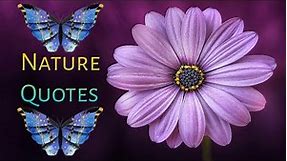 Nature Quotes | Beautiful Nature Quotes