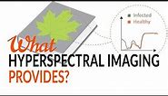 What Hyperspectral Imaging provides - Tutorial
