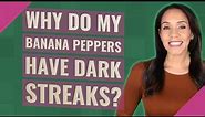 Why do my banana peppers have dark streaks?