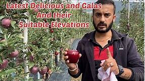 Latest Delicious and Gala Apple varieties and their suitable elevation.