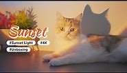 Cat Selfie With Sunset Lamp, Everything looks Gorgeous | Cats Unboxing | 1️⃣Sunset Lamp+2️⃣🛁+3️⃣👙