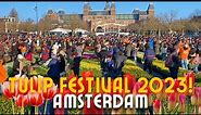 🌷HOW WE CELEBRATE THE NATIONAL TULIP DAY IN AMSTERDAM-NETHERLANDS 🇳🇱 | FREE TULIPS MUSEUMPLEIN!