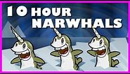 Narwhals | 10 Hours