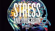 Stress relief and how it affects your Brain