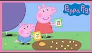 Peppa Pig - Peppa and George's Garden (Full Episode)
