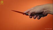 CIVIVI Praxis Pocket Folding Knife - Modern Aesthetics Ultem Handle, 3.75" Sharp Blade, Deep Carry Clip for EDC C803L