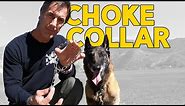 Most Important Things to Know about a Choke Collar - Robert Cabral Dog Training Video