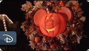 Magic Kingdom Park Transforms for Fall | Walt Disney World