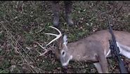 9 Point buck hunt with Savage 220