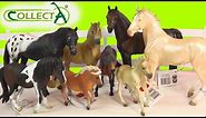 CollectA Horses Mare Foal Pony Stallion Horse Unboxing Review Video HoneyheartsC