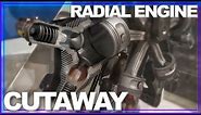 INSIDE LOOK: How a Radial Engine Works AMAZING Cutaway in Motion