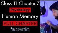 Chapter 7 | Human Memory | Psychology Class 11 | Full Chapter easy explanation | NCERT / CBSE