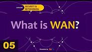 Wide Area Network (WAN) | Advantages & Disadvantages | Knowledge of Networking