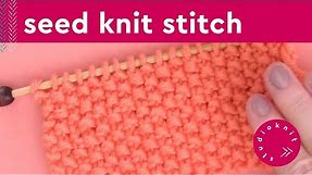 Knit the Easiest Seed Stitch Knitting Pattern (2 Row Repeat)